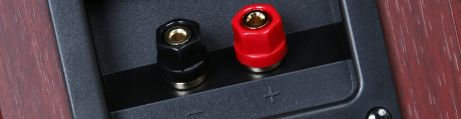 Loudspeaker plugs